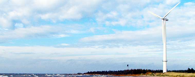 Lehtien havinaa